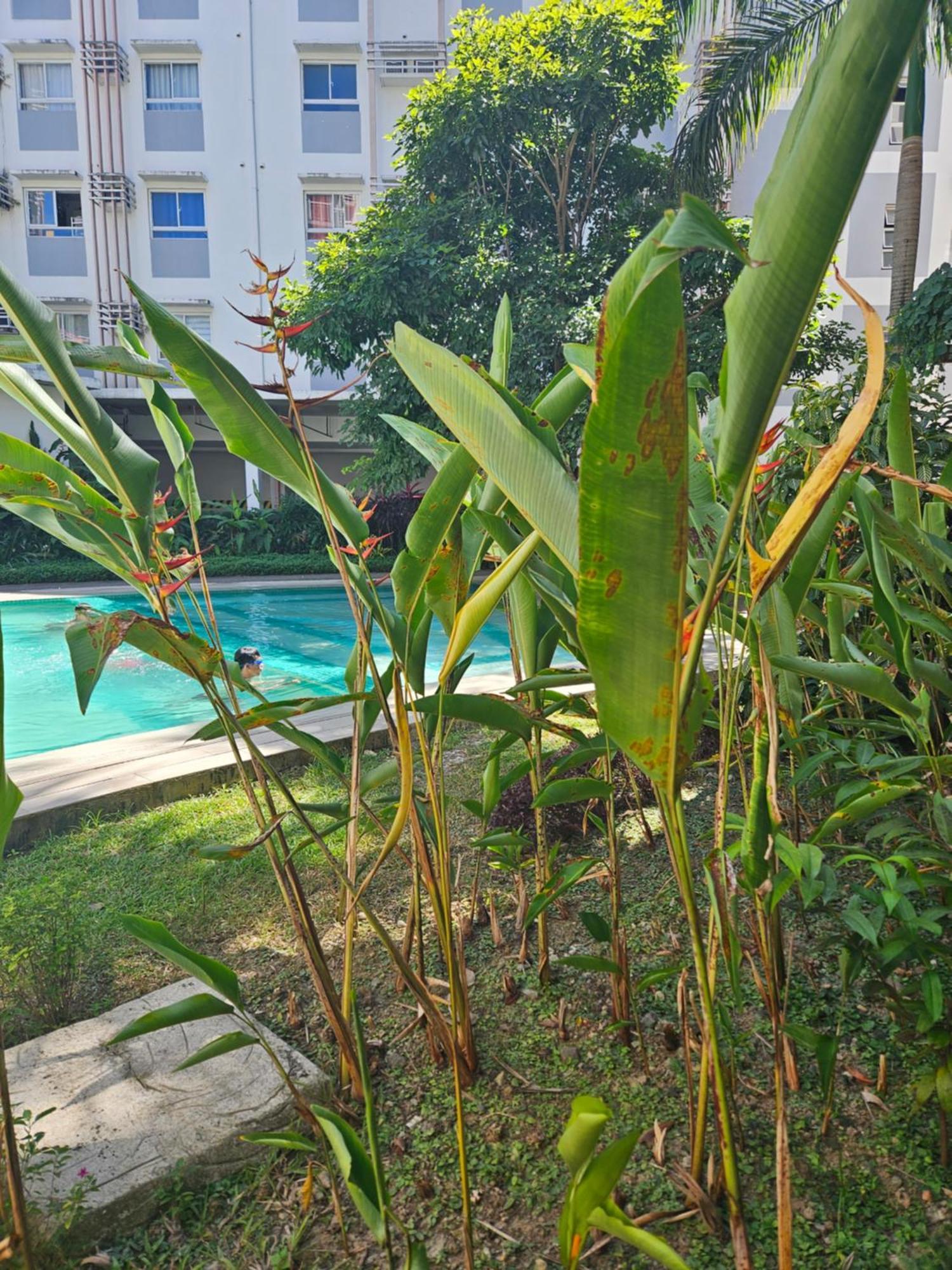2-Bedroom Boutique City Condo - Newly Renovated! Cebu Exteriör bild