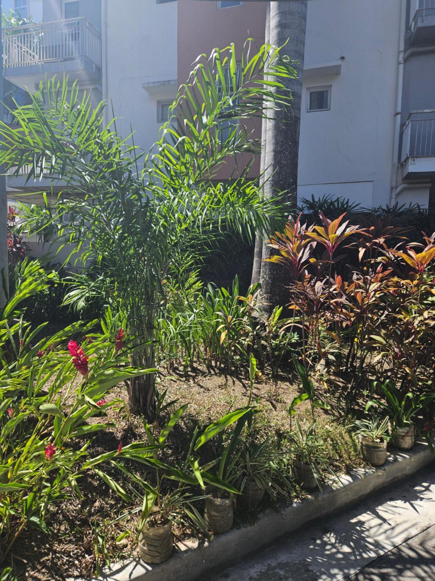 2-Bedroom Boutique City Condo - Newly Renovated! Cebu Exteriör bild